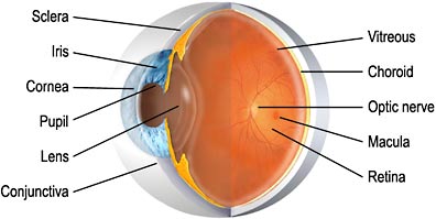 all about vision glaucoma
